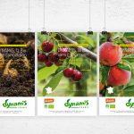 Affiches mensuelles pour Dynamis